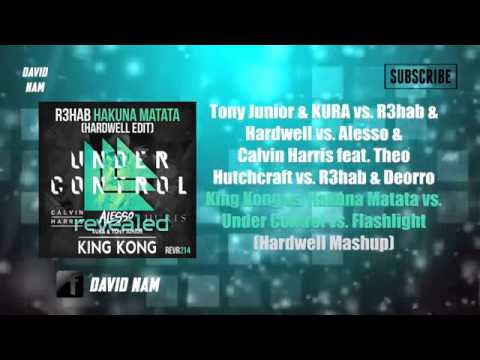 King Kong vs Hakuna Matata vs Under Control vs Flashlight Hardwell Mashup Remake