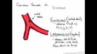 Control Volume vs Systems Representations (Bio)