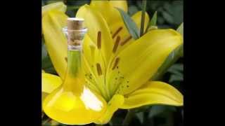 Lily Herb Oil Health Benefits & Side Effects