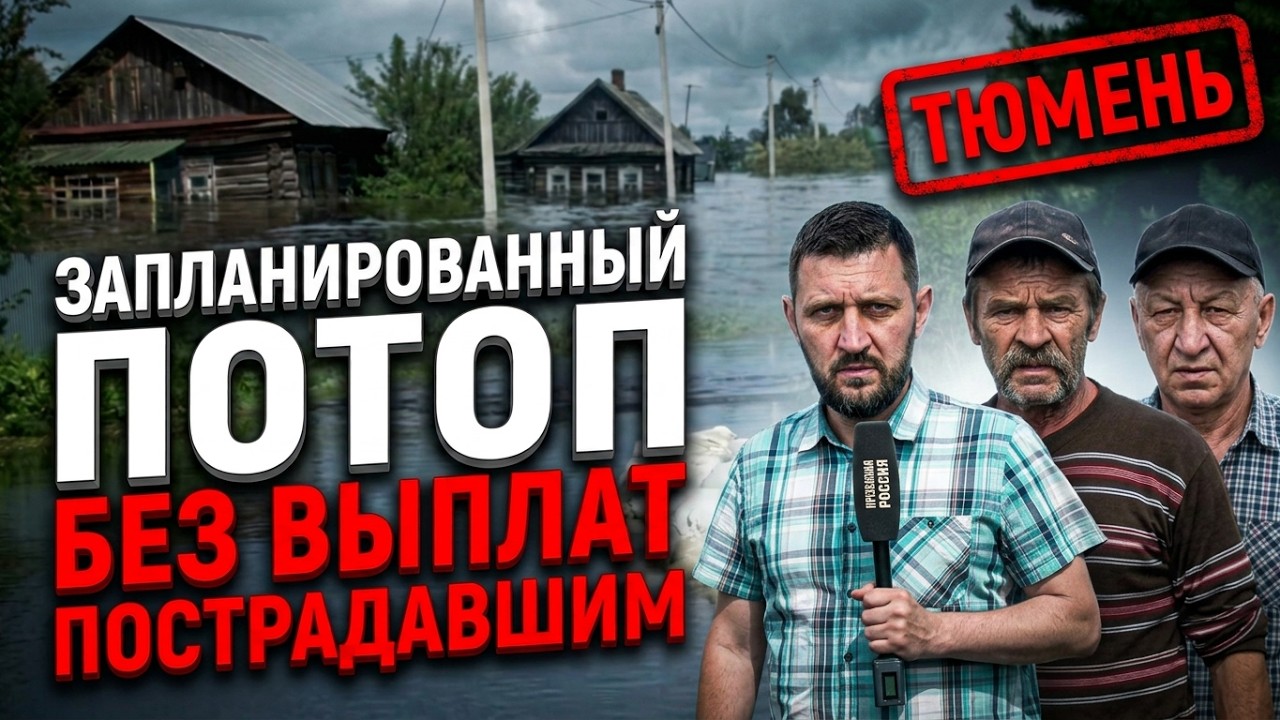 Пострадавших тюменцев лишают выплат, чиновники угрожают тюрьмой | Прекрасна