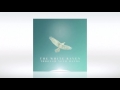 The White Raven - "Rabid Rabbit" (Official Audio)