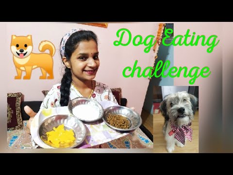 Dog food Challenge | Must Watch 🤣..Funny Dog eating different foods | Watch till end...