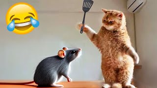 Funniest Animals 2024 😂 New Funny Cats and Dogs Videos 😻🐶 Part 2