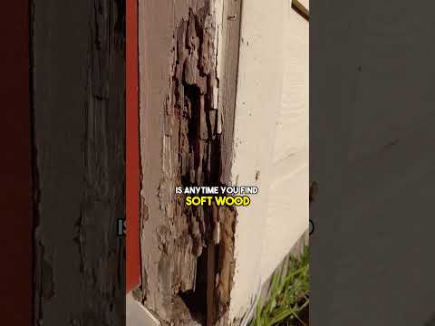3 Ways to Tell if You Have Termites