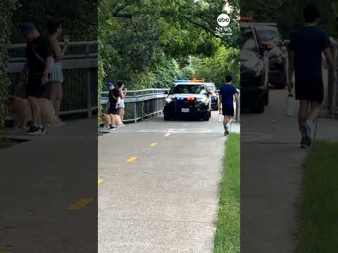 Officer calls out oblivious dog walker blocking his cruiser