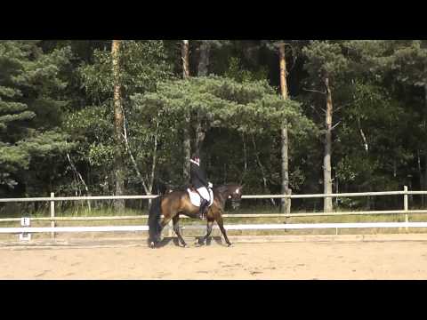 Fanny & Champis LA1 Svenskt ponny derby 2013