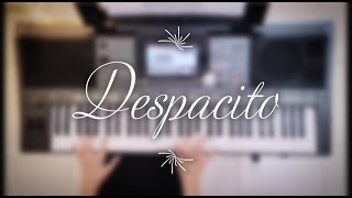 Download lagu Luis Fonsi - Despacito ft. Daddy Yankee | Instrumental (Keyboard) | Anwesha Mukherjee mp3 Download lagu Luis Fonsi - Despacito ft. Daddy Yankee | Instrumental (Keyboard) | Anwesha Mukherjee mp3