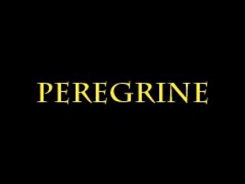 Video Peregrine