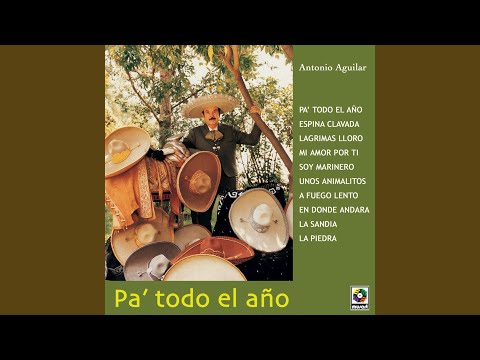 Pa' Todo El Año