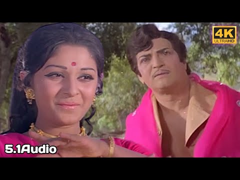 Aaresukoboyi 4K Video Song || Adavi Ramudu Movie || Sr Ntr, Jayaprada, Jayasudha