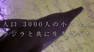 映画『おクジラさま ふたつの正義の物語』予告編