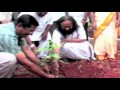 Holy Kitchens Special World Leaders Celebrate The Expression Of Seva Service