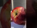 Painting a realistic peach cake