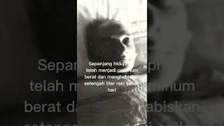 Download lagu sebabkematian Mustafa kemal Attaturk#short #museum Ankara#turki mp3