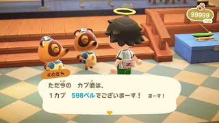 カブ価598ベルを無償で開放中！「往復OK」「視聴者参加型」「あつまれどうぶつの森」