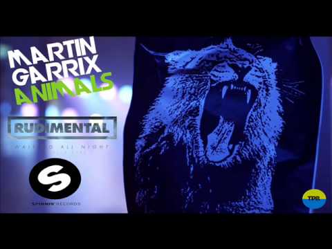Martin Garrix vs. Rudimental - Waiting All Night For Animals (The PlayBrothers Mashup)