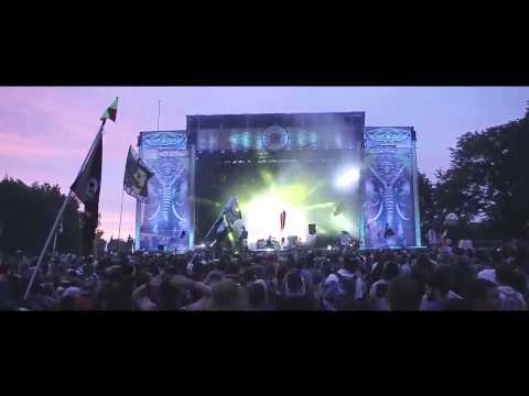 Break Science | Electric Forest Recap