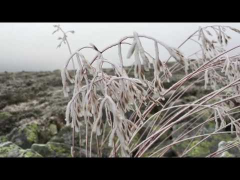 Groupa, Kind of folk - Oct 2016