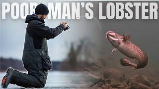 CRAZY Underwater Footage! Ice Fishing Burbot w/ an Underwater Camera