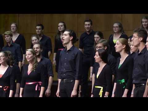 Sing Joyfully - Jeugdkoor Waelrant (Belgium)