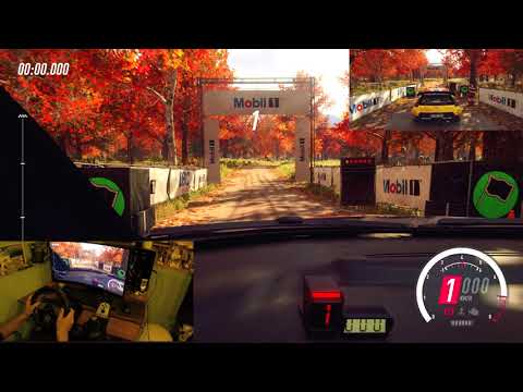 RALLY DRIVER PLAY DIRT RALLY 2.0 | Logitech G27 Gameplay #dirtrally2 #WRC #Max_Attack  #G27