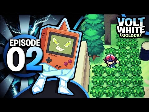 Pokémon Volt White Egglocke w/ GameboyLuke!! - E02 - "Stalker Mum."
