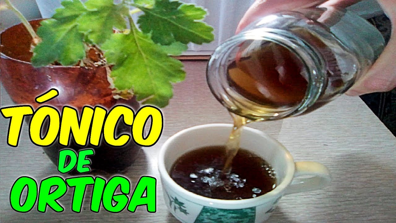 Ortiga para el Cabello | Tónico de ORTIGA para la Caída de Cabello