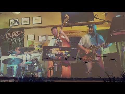 Bullfrog Rata & The Elegant Wastrels  - Big Black Swan