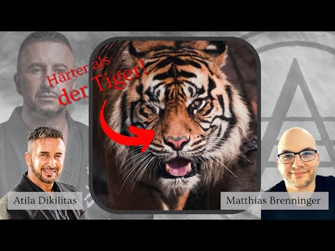 #4  Mindset Monster: Atila Dikilitas über sein inspirierendes Leben als Unternehmer & Kampfsportler