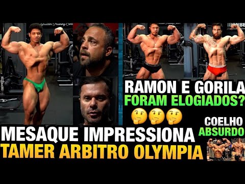 RAMON E GORILA SHAPES ATUAIS AVALIADOS PELO TAMER + MESAQUE O IMPRESSIONOU - COELHO, GIGA E MAIS