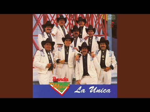 Mata Un Pollo