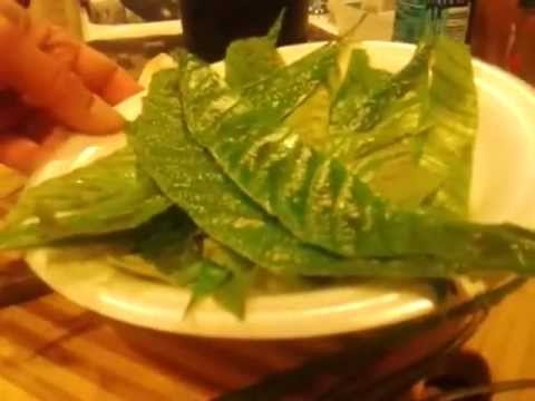 Loquat Herbal Medicinal Teas (how to) - YouTube