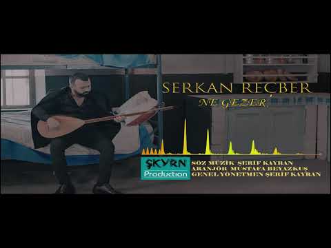 Serkan Reçber Ne Gezer (AUDİO) 2020