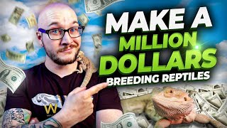 Can Breeding Reptiles ACTUALLY Make You Rich? Also, The Loudest Ball Python Fart Ever!