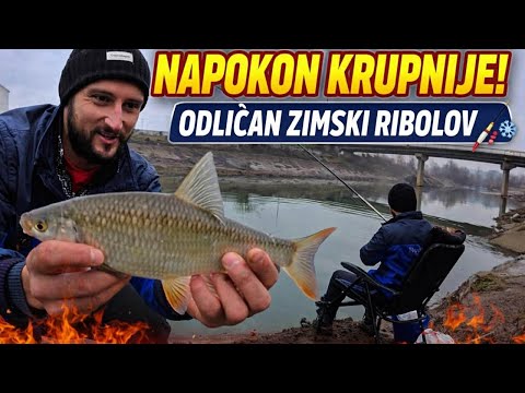 KAKAV RIBOLOV!Krupan Klen + Plotica na Plovak!