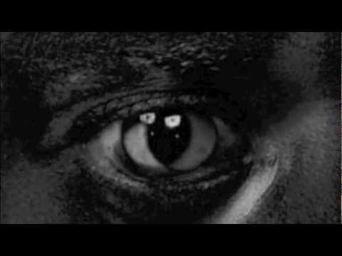 Wiley - evolve or be extinct