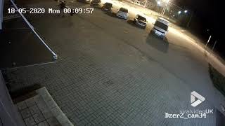 faze tari ursul ataca in parcare