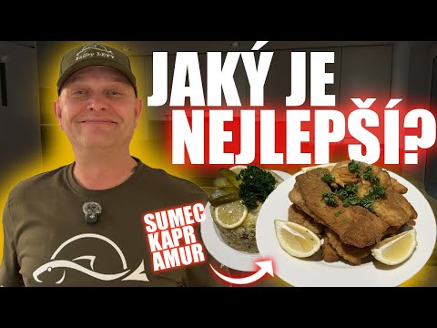 Nejlepší řízek na Štědrý večer? 😍🐟 Kapr vs. Amur vs. Sumec! 🍽️🎄