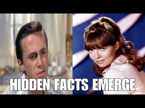 Uncovering the Untold Secrets of FLIPPER the Dolphin!