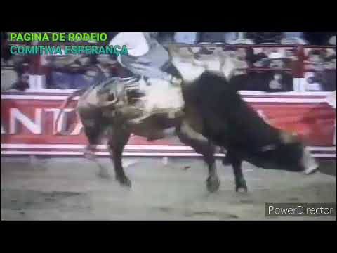 MIGUEL ROGERIO , TOURO INTER CINE CIA NETO OGER , CAJAMAR 97