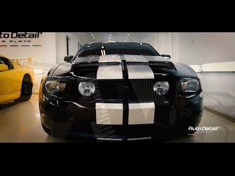 Mustang GT Junto al gran músico German Fratarcangelli