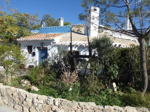 video image