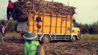 preview picture of video 'Stut jack truk tebu balap'