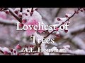 Math Problem in a Poem? Housman's "The Loveliest of trees, the cherry now"