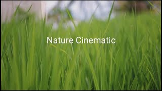 Download lagu SINEMATIK ALAM||VIDEO CINEMATIC SAWAH||. mp3