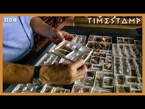 What Really Happened On Easter Island? | BBC Timestamp