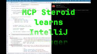 MCP Steroid & IntelliJ Debugger