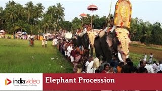 Elephant procession during Machattu Mamangam, Thrissur 