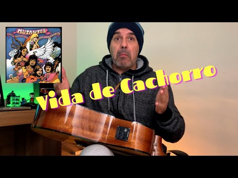Vida de Cachorro - Rita Lee