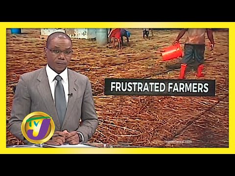 St. Elizabeth Farmers Frustrated November 26 2020